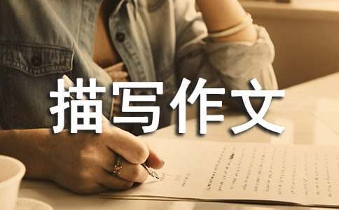 如何为不同水平的球员制定个性化的篮球训练策略_2